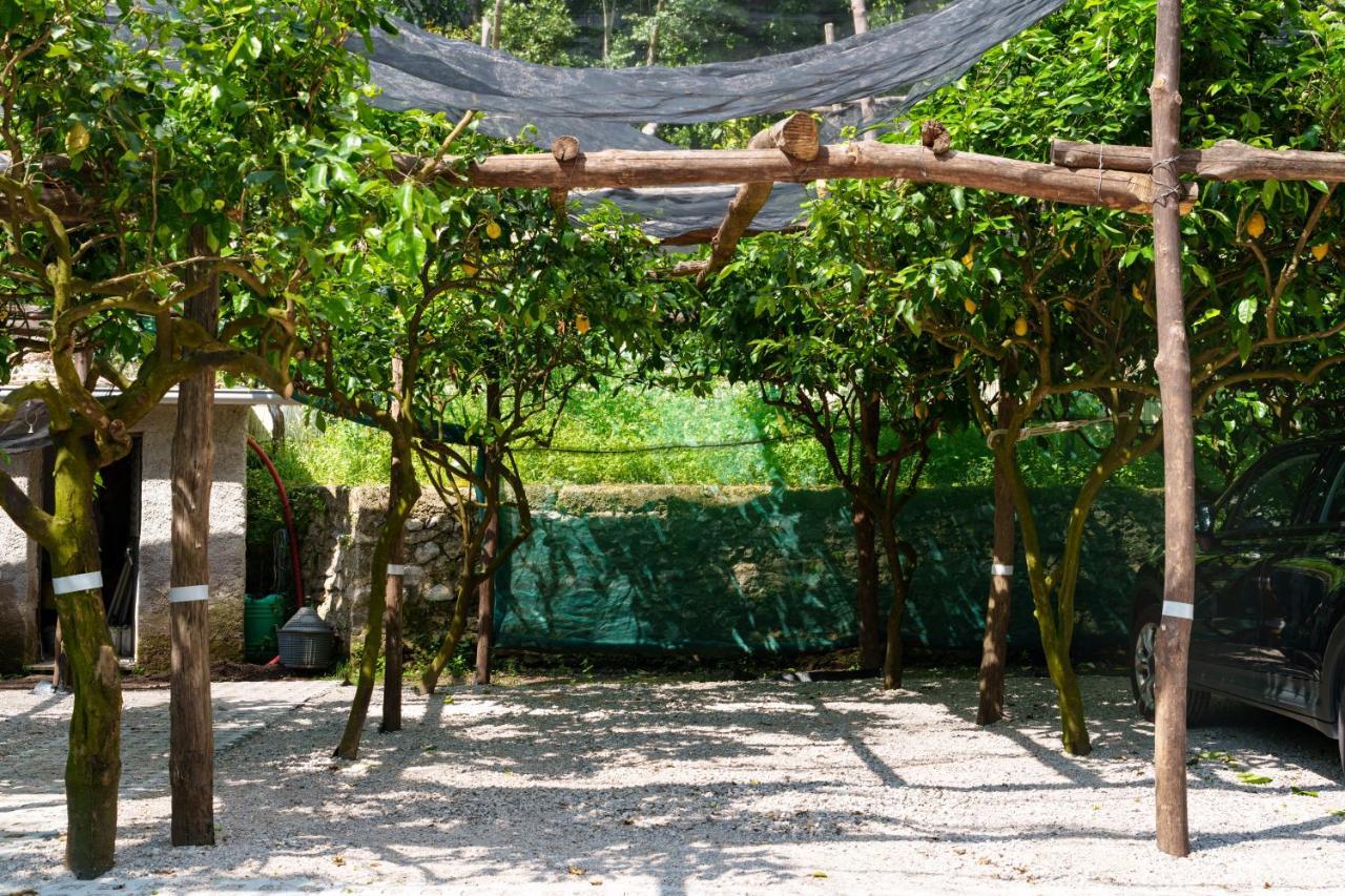 לינה וארוחת בוקר מאיורי Montagnella Relax מראה חיצוני תמונה